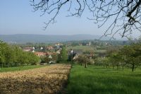 Sortie découverte Pechelbronn, 500 ans d'histoire du pétrole en Alsace du Nord. Le dimanche 19 juillet 2020 à MERKWILLER-PECHELBRONN. Bas-Rhin.  14H30